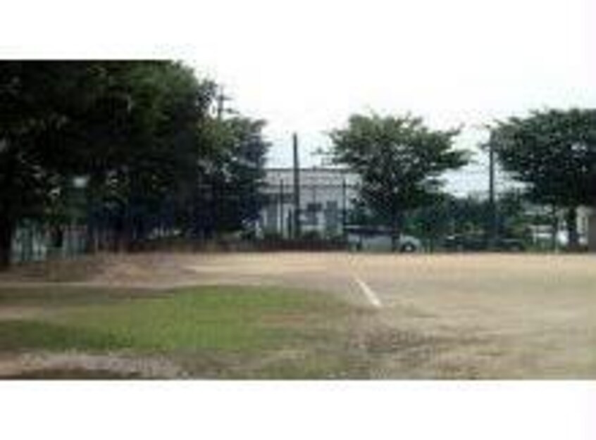 新道公園(公園)まで302m ステラ