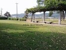 大崎公園(公園)まで827m ミニョン