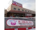 サンヨネ豊川店(スーパー)まで705m ドミール山道B