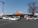 DCM豊川東店(電気量販店/ホームセンター)まで1040m ドミール山道B