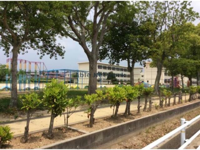 豊川市立天王小学校(小学校)まで987m エトワール塔ノ木