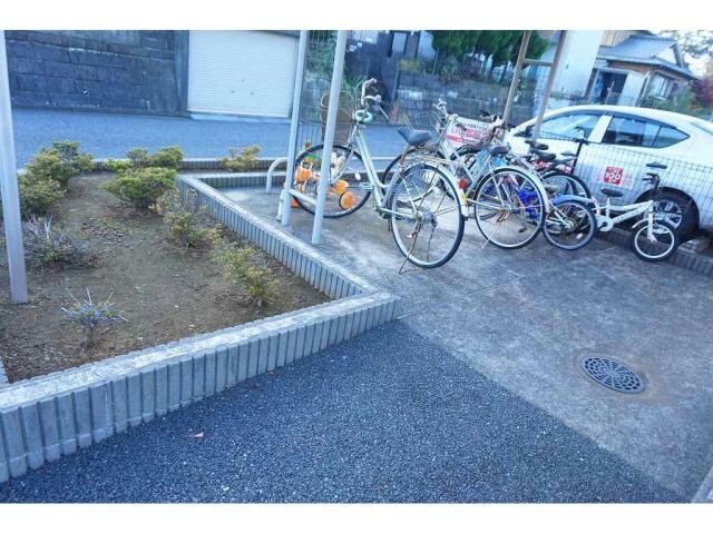  エレガンテカーサ