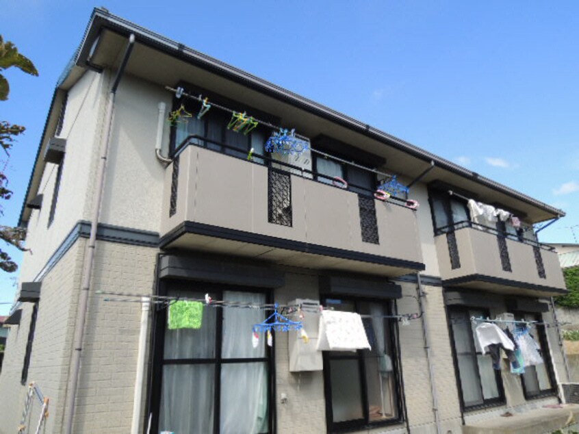  サンフラワー(木更津市)