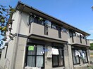  サンフラワー(木更津市)