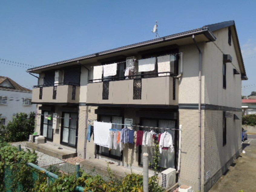  サンフラワー(木更津市)
