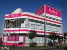 ザ・ダイソー木更津太田店(ディスカウントショップ)まで822m サンフラワー(木更津市)