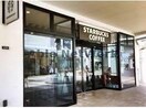 スターバックスコーヒー木更津店(その他飲食（ファミレスなど）)まで786m フラガンシア西館