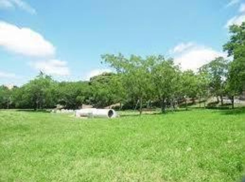 福王台中央公園(公園)まで270m ビューラー福王台