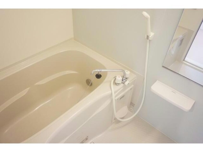  アリエルヴィオラA