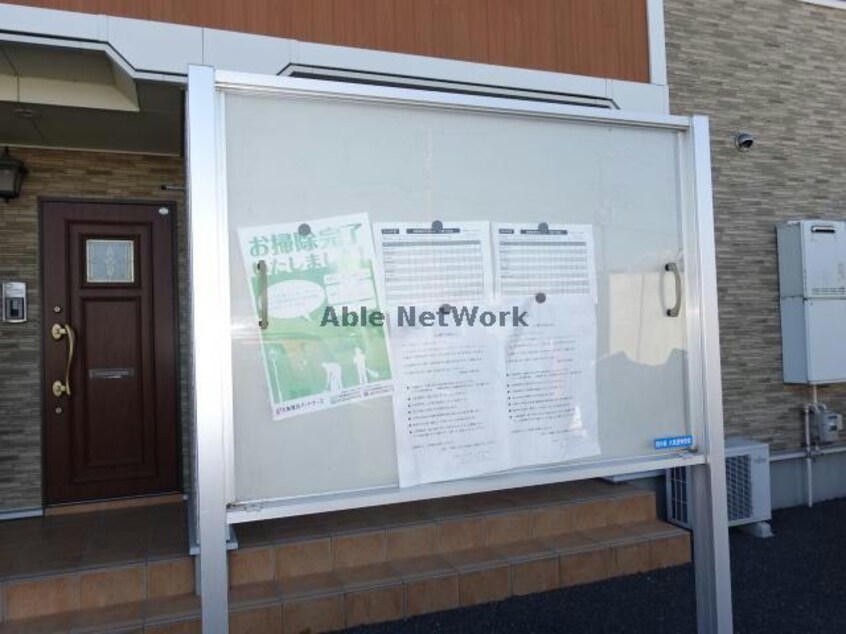  アリエルヴィオラA