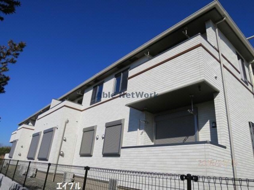  アリエルヴィオラC