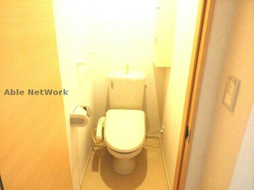  アリエルヴィオラC