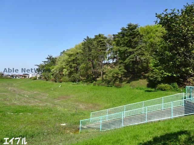 野際公園(公園)まで1894m カモミールＢ