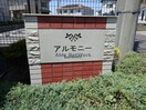  アルモニー
