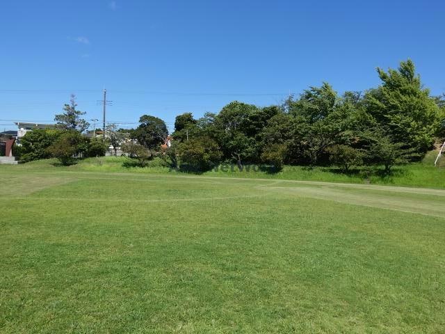 真舟中央公園(公園)まで2393m ビュー羽鳥野