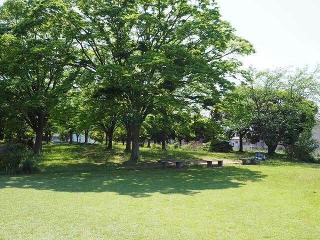 貝渕公園(公園)まで1996m フェリーチェ