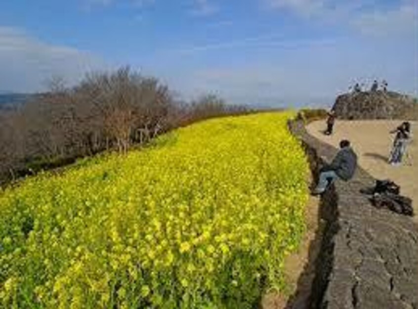 吾妻公園(公園)まで1612m ラボーテ