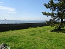 鳥居崎海浜公園(公園)まで1013m イルミナール