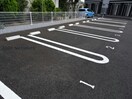 ダブルライン クレオール