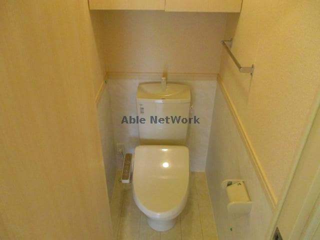  コットンパレス