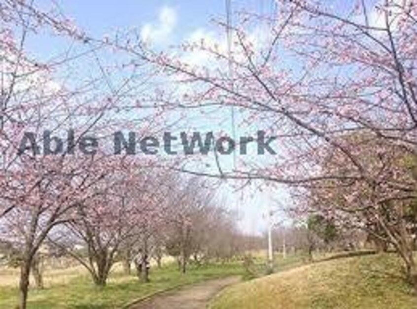 北袖3号緑地(公園)まで1365m さつき台ハイツA