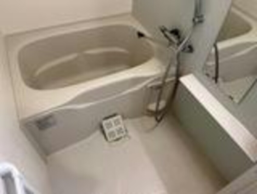  シャインビルド