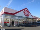 ヤックスドラッグ君津人見店(ドラッグストア)まで538m カーサセレーナ