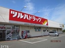 ツルハドラッグ中野店(ドラッグストア)まで1656m カーサセレーナ