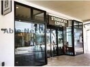 スターバックスコーヒー三井アウトレットパーク木更津店(その他飲食（ファミレスなど）)まで770m COTAROⅡ コタロⅡ