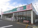 ドラッグセイムス木更津畑沢店(ドラッグストア)まで513m フォルテューヌ畑沢南