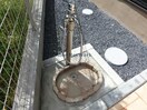  アンベリール(袖ヶ浦市)