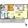 エーデルワイス 1LDKの間取り
