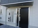  エーデルワイス