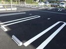  エーデルワイス