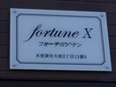  fortunex（フォーチュンテン）