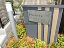  パピィエースリー
