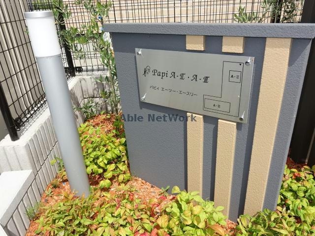  パピィエースリー
