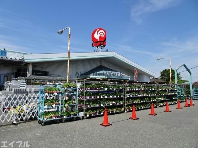 コメリハード＆グリーン横田店(電気量販店/ホームセンター)まで1649m 仮称横田アパート