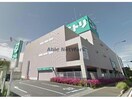 ニトリ木更津店(電気量販店/ホームセンター)まで1842m ロートスブルーメ