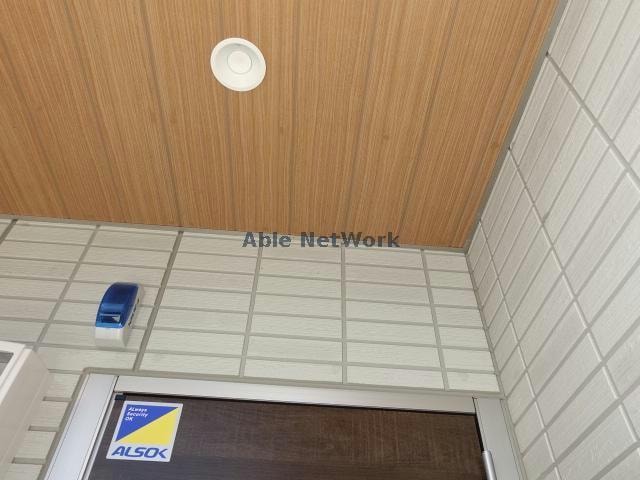  【つつこ】フリージア