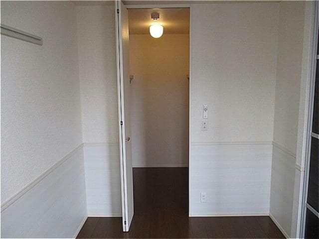  ビックペンラピス