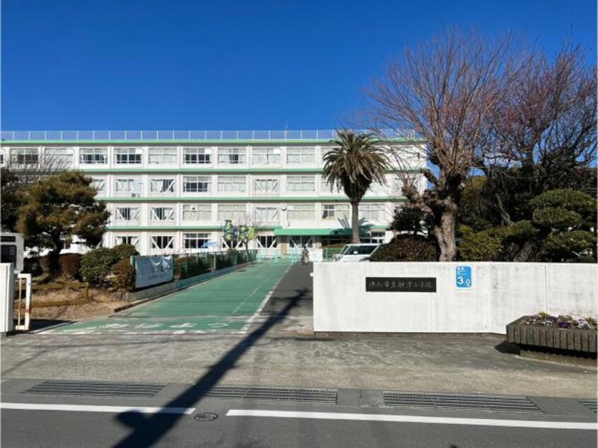 浜松市立新津小学校(小学校)まで824m パストラルⅠ