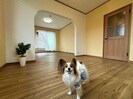 東海道本線/浜松駅 徒歩15分 2階 築20年の外観