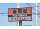 吉野家浜松ディーラー通り店(ファストフード)まで950m ティアラ神立