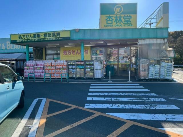 杏林堂薬局富塚店(ドラッグストア)まで1209m ＹAYOIハイツ