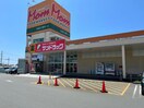 サンドラッグ浜松西店(ドラッグストア)まで725m 東海道本線/舞阪駅 徒歩12分 1階 築23年