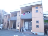 シダーブロッサム