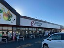 遠鉄ストア富塚店(スーパー)まで1366m nova　（ノーヴェ）