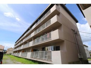 サルヴァトーレ吉原