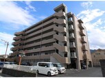 シャイニー池島
